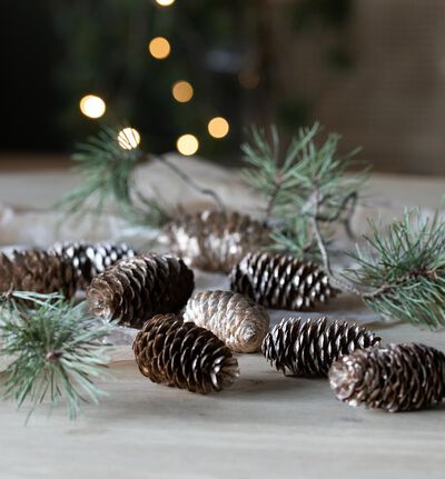 Kongler medium i pose champagne Kongler medium i pose champagne